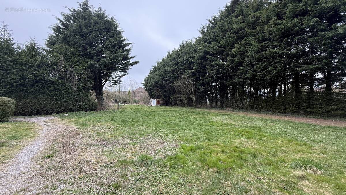 n°1 - Terrain à RINXENT