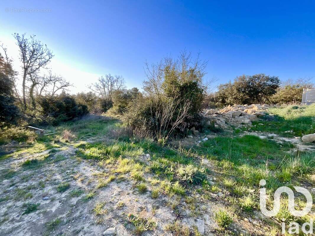 Photo 3 - Terrain à DEAUX
