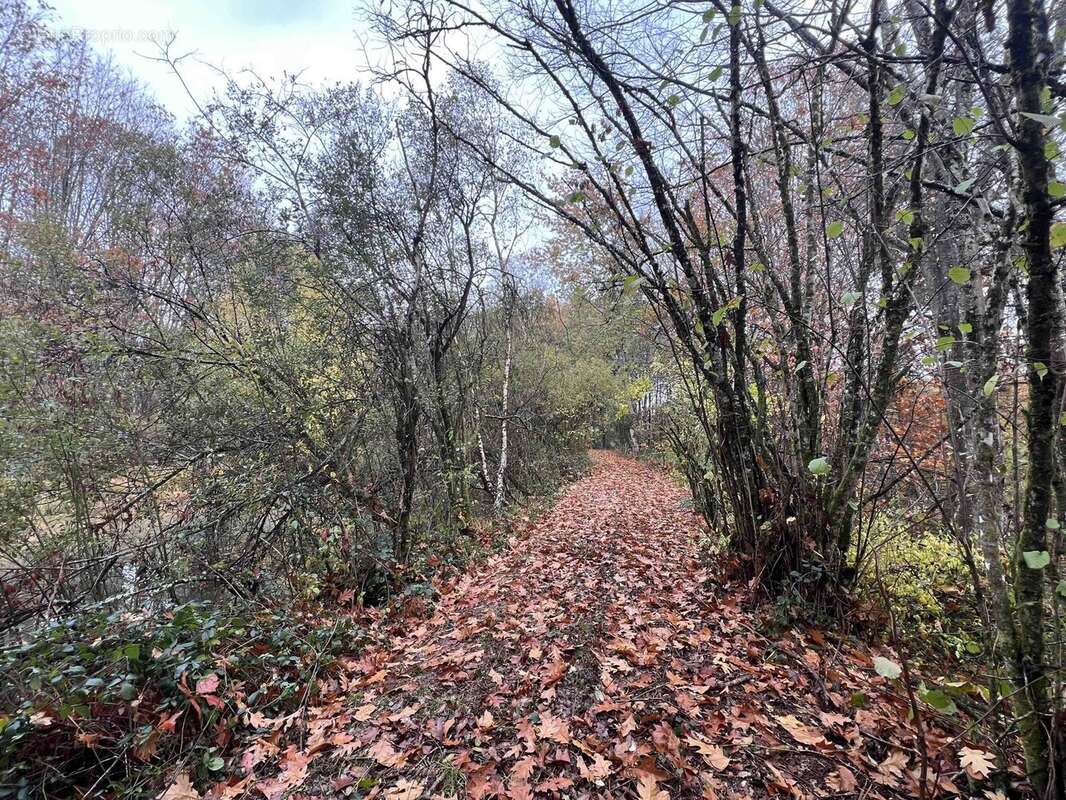 Terrain à CONFOLENS