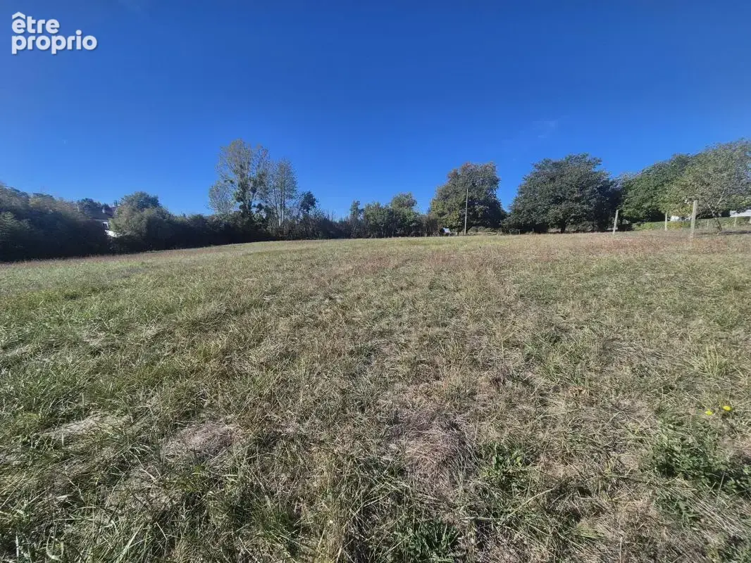 Terrain 3 998 m² à vendre à Chouzy-Sur-Cisse (41150) - photo 2