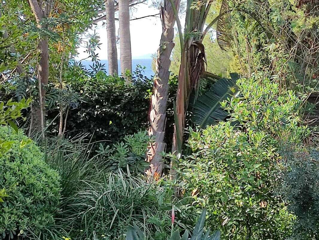 Photo 2 - Appartement à LE LAVANDOU