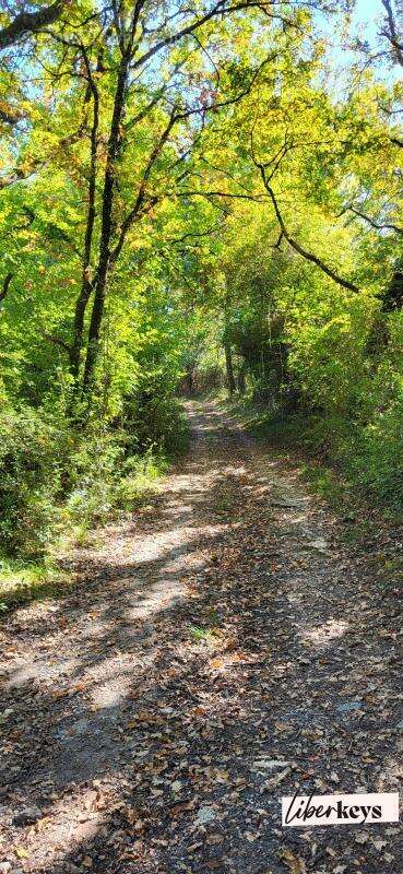 Terrain à LESCURE-D&#039;ALBIGEOIS