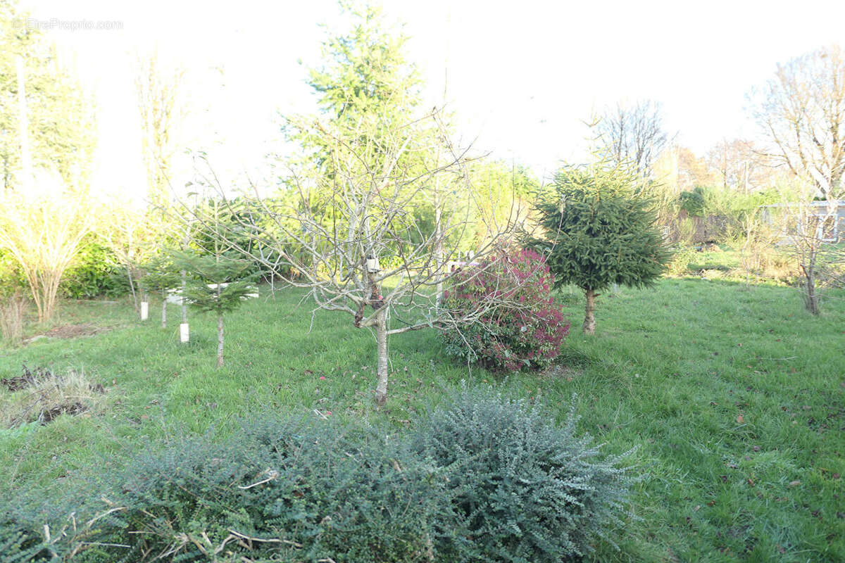 Maison à SAINT-BARTHELEMY