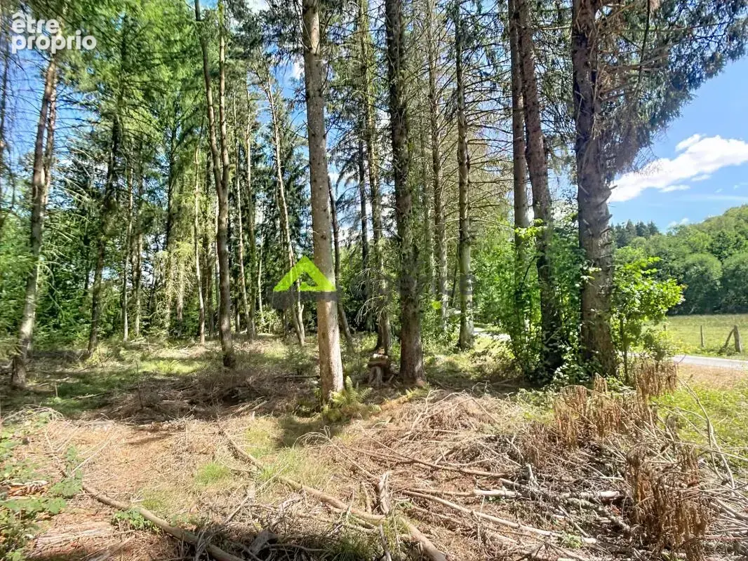 Étang privé   5 540 m2   Croze (23)   Terrain de loisirs - photo 7
