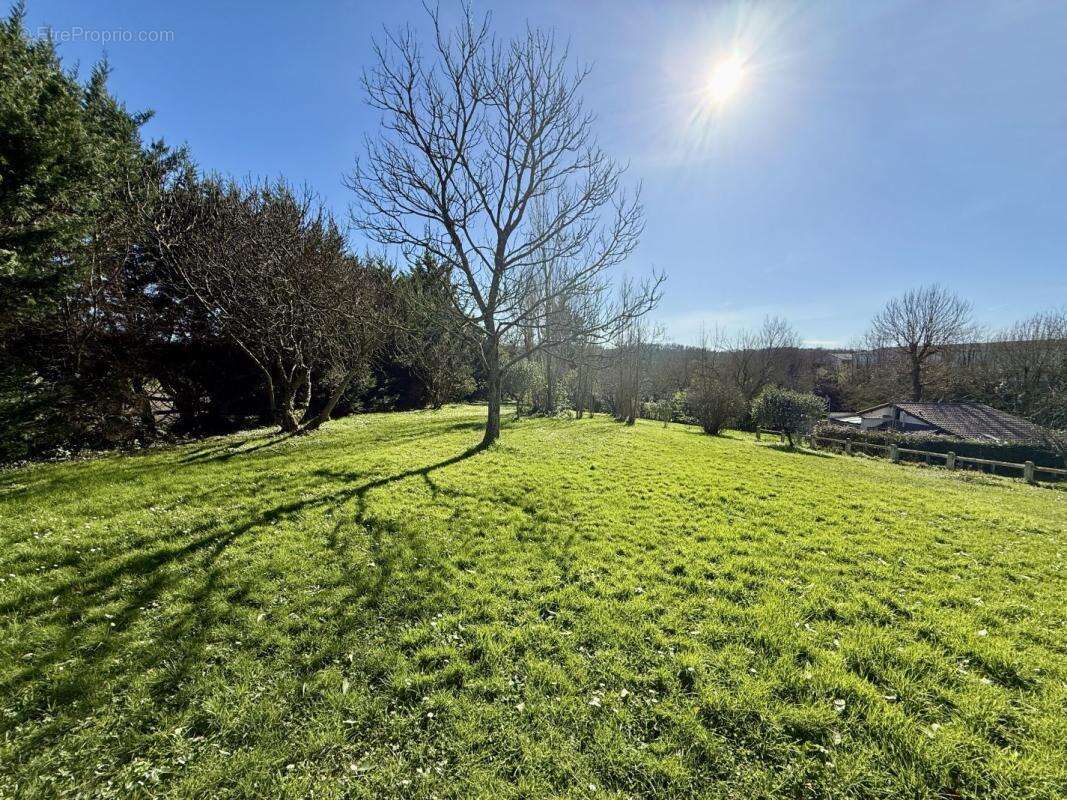 Maison 170 m² à Geaune  - photo 3