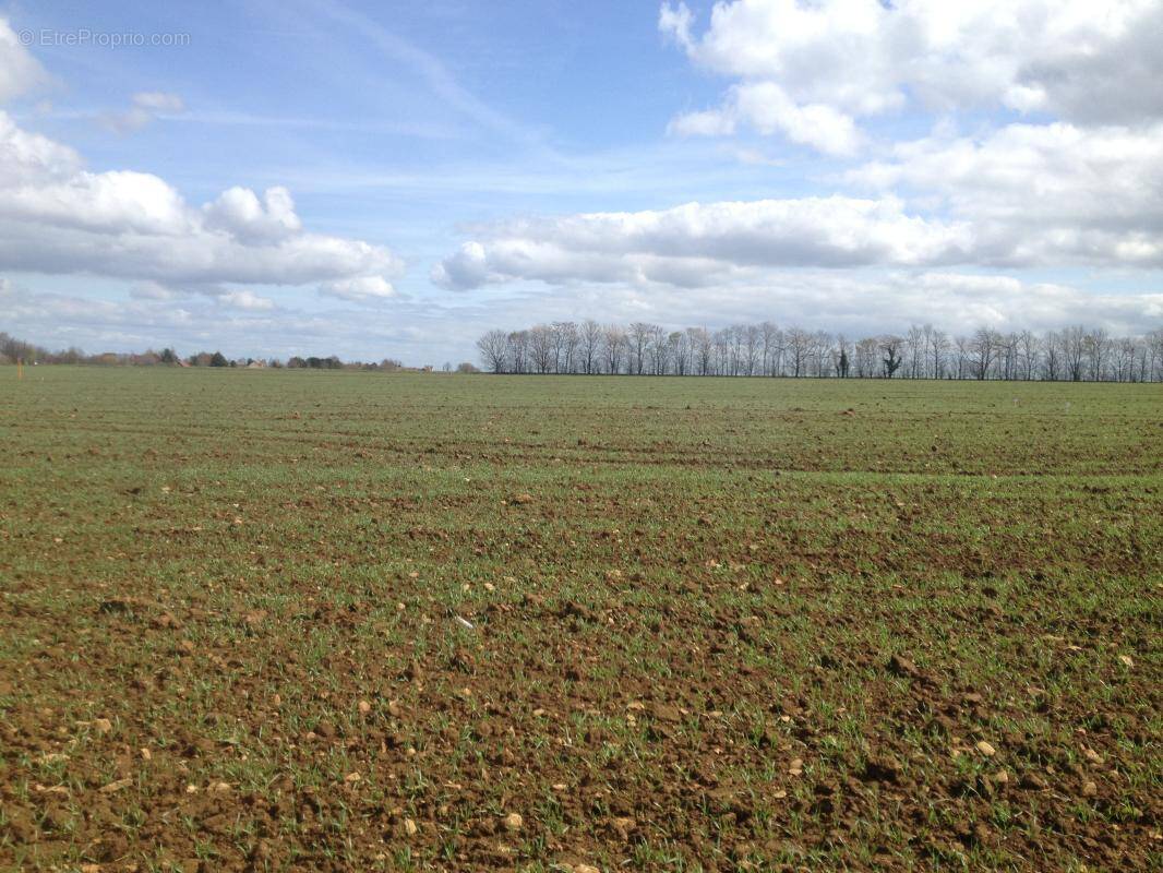 Terrain à FONTAINE-ETOUPEFOUR