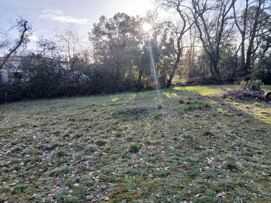 Terrain à DEAUX