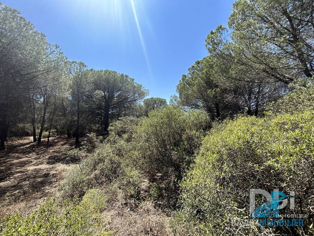 Terrain à MONTBLANC