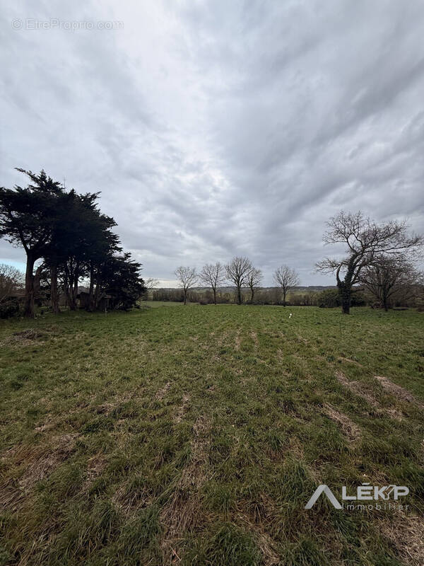 Terrain à ALLAIRE