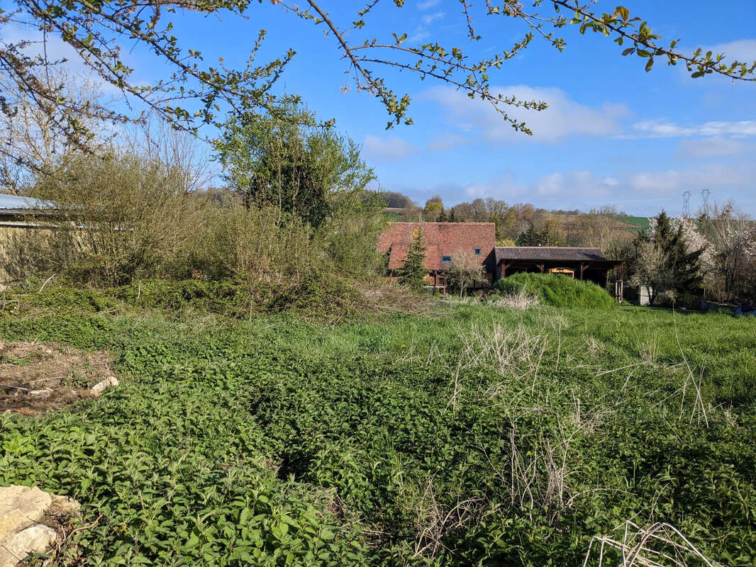 Terrain à HELFRANTZKIRCH