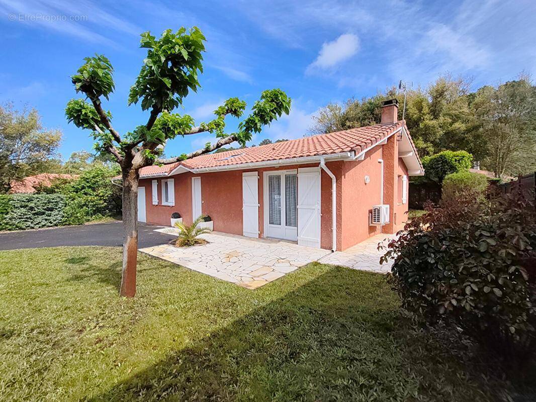 Maison à MESSANGES