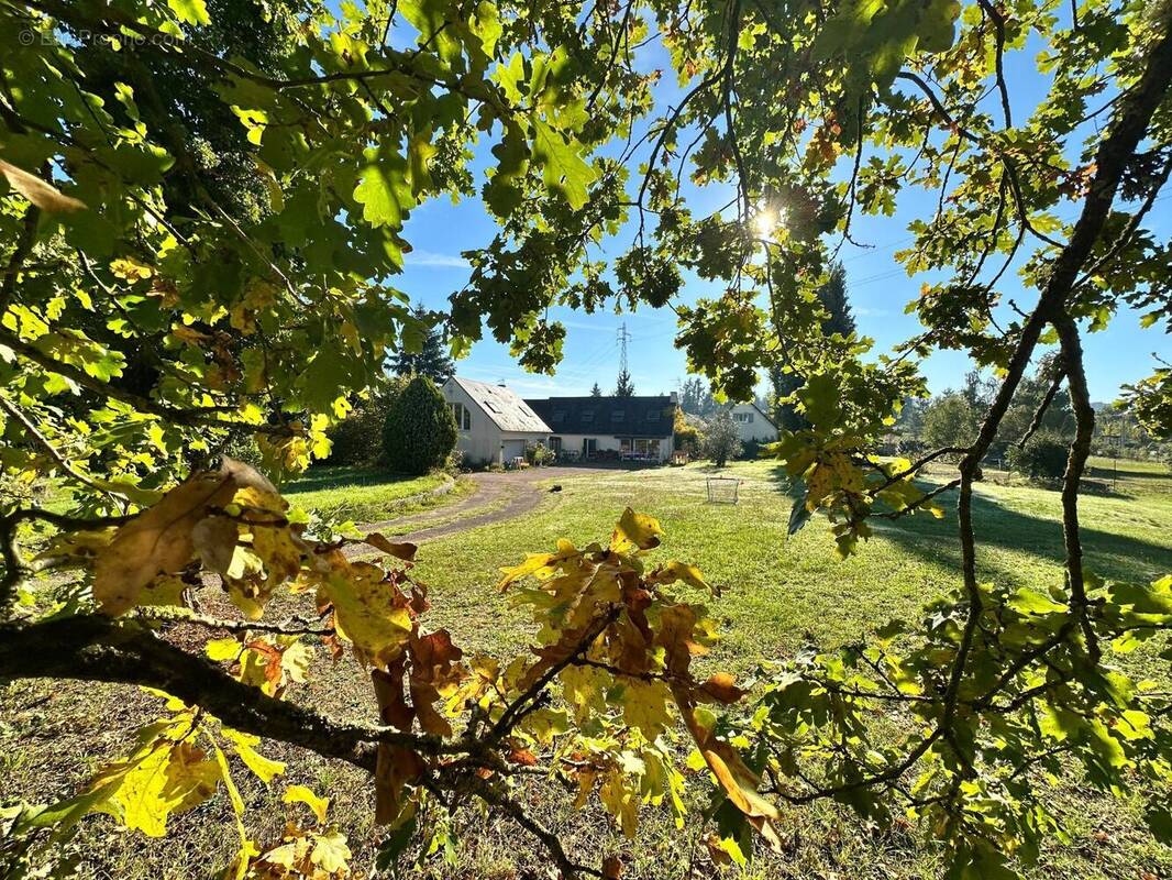 Photo 1 - Maison à OLIVET