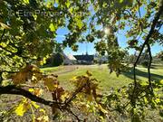 Photo 1 - Maison à OLIVET