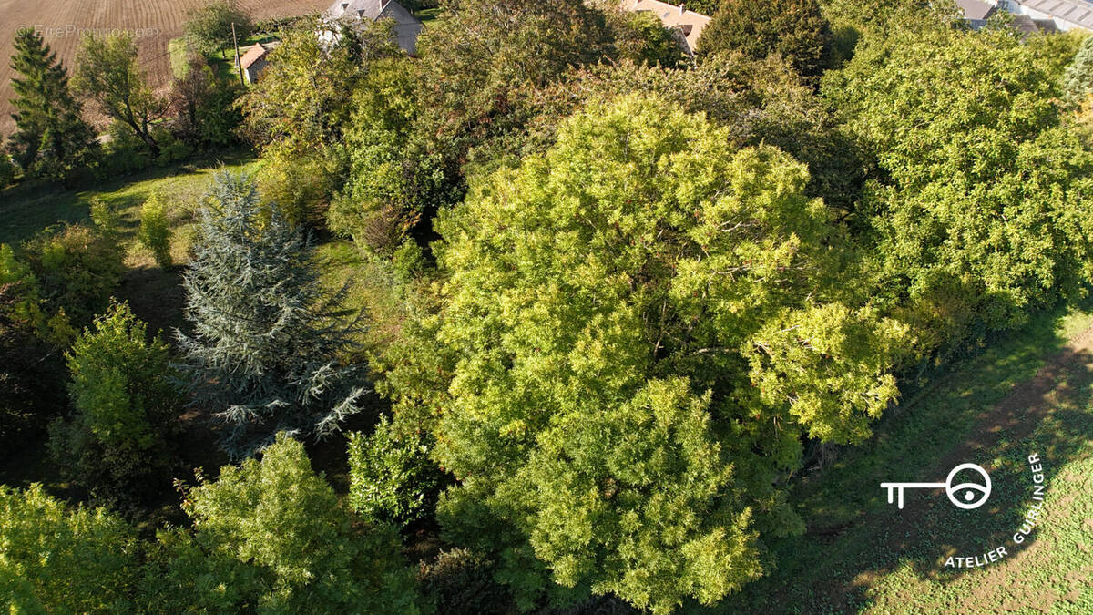 Terrain à OUZOUER-LE-MARCHE