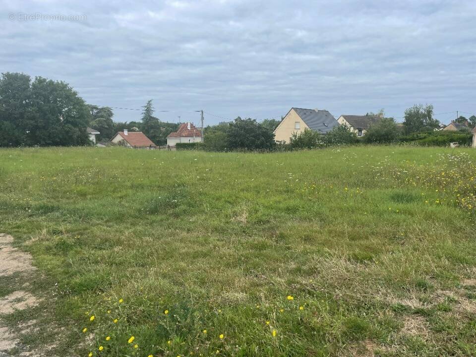 Terrain à PRECIGNE