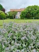 Maison 114 m² à Riberac  - photo 190