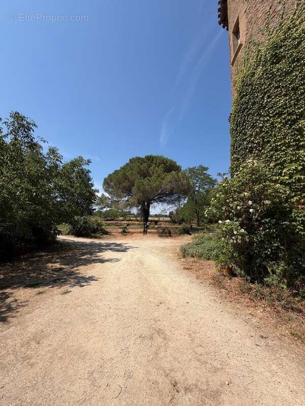 MARCIAC(32): ancienne SEIGNEURIE avec BEAU CHATEAU XIV sur 3,5ha, cachée, au bout du chemin, sans voisin, en campagne, 500m2 hab - photo 12