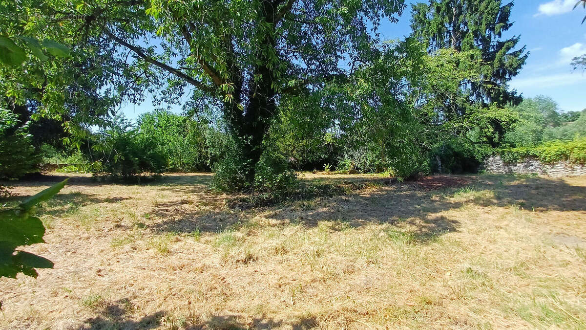 Terrain Cherence - photo 2