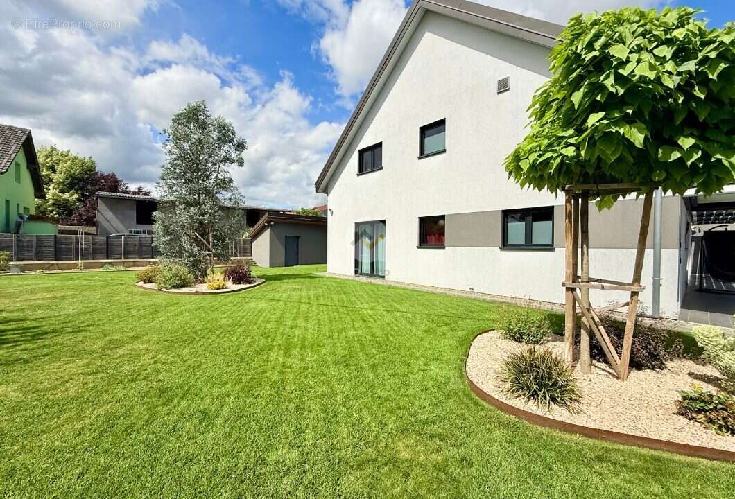 Maison 277 m² à Gundolsheim  - photo 6