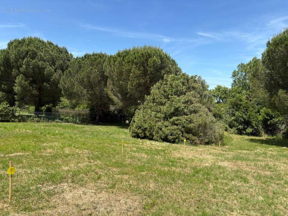 Terrain à CASTELMAUROU