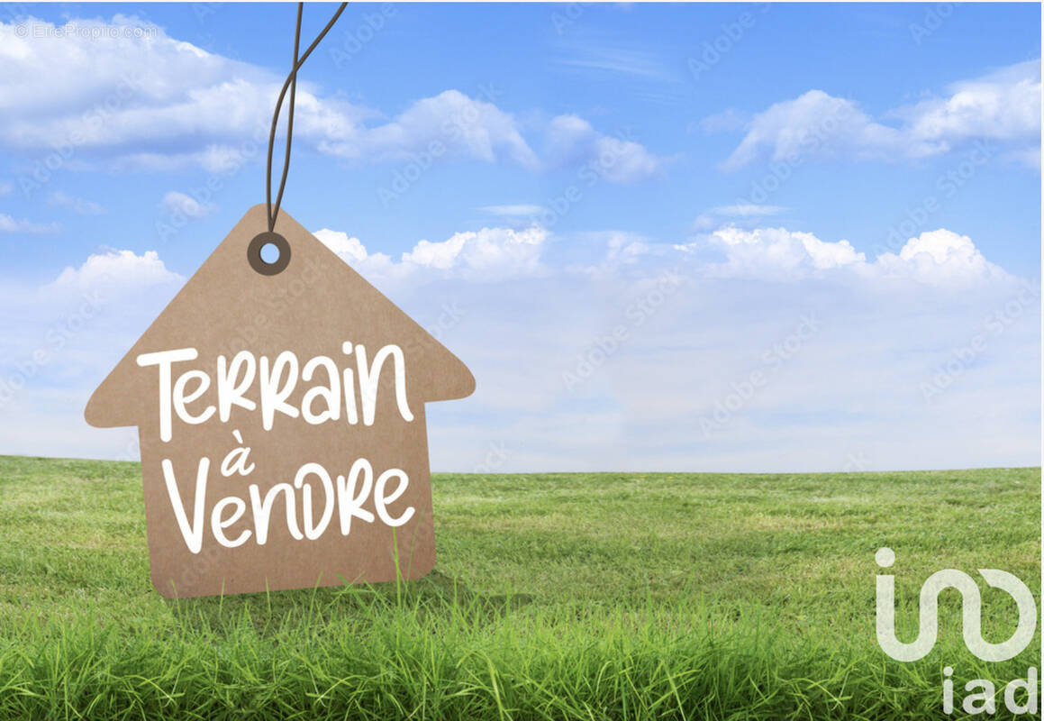 Photo 1 - Terrain à NANTEAU-SUR-ESSONNE