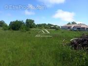 Terrain à ALLEGRE-LES-FUMADES