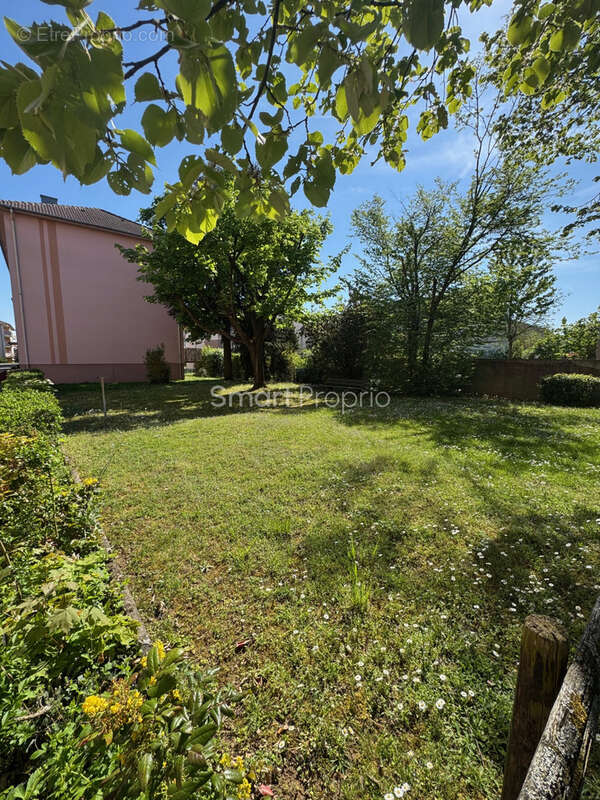 Appartement à RIXHEIM