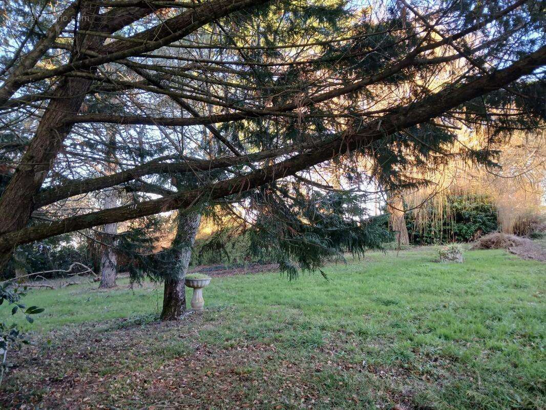 Maison à MONTCHAUDE