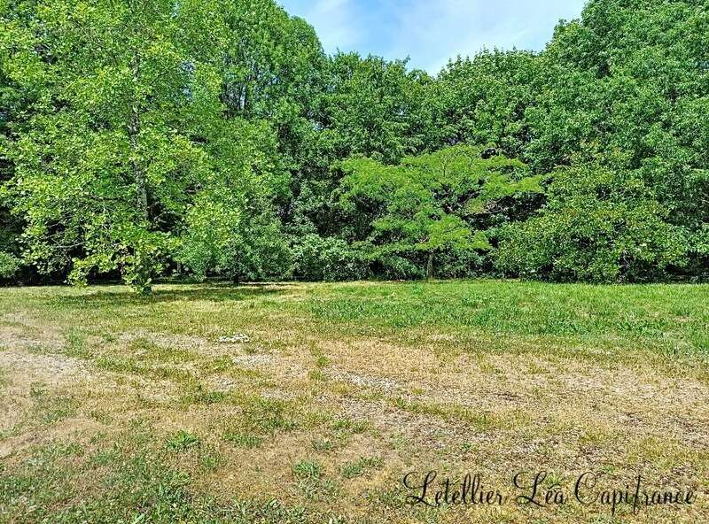Propriété à vendre 5 pièces - photo 3