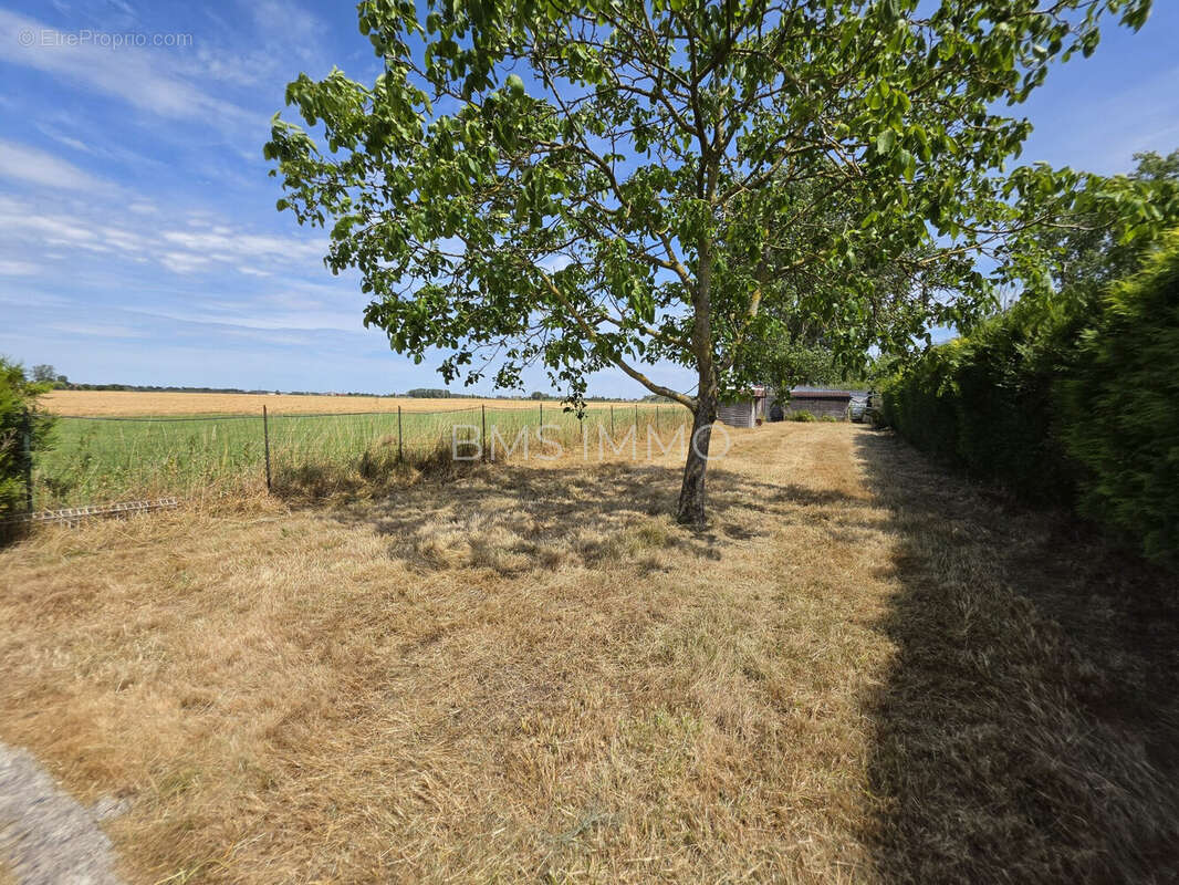 Maison 91 m² à Faumont  - photo 2