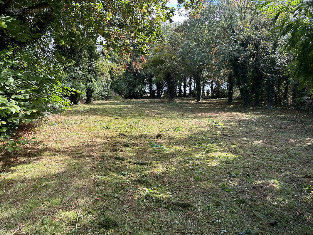 Terrain à ETERVILLE