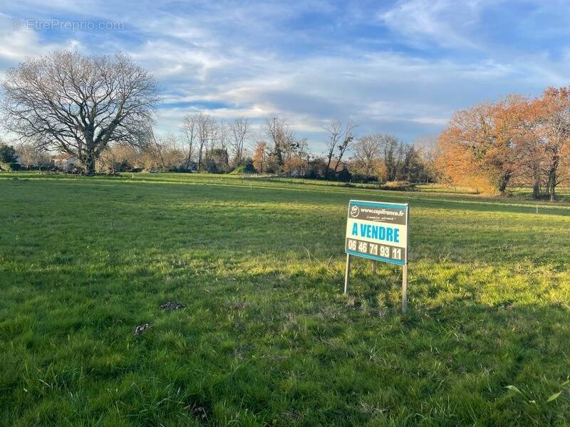 Terrain à PEYREHORADE