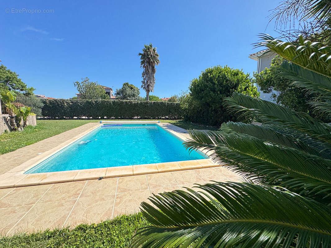 Villa 4 faces  avec piscine a villelongue de la salanque - photo 2