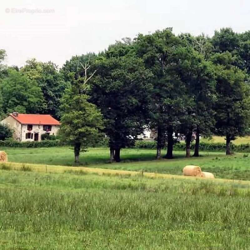 Maison avec gîte à vendre - Bussière-Poitevine - 87 - photo 18