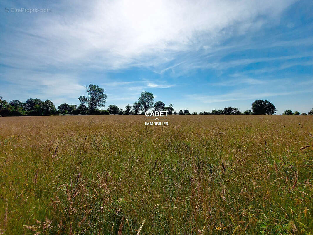 Terrain à LA HAYE-PESNEL