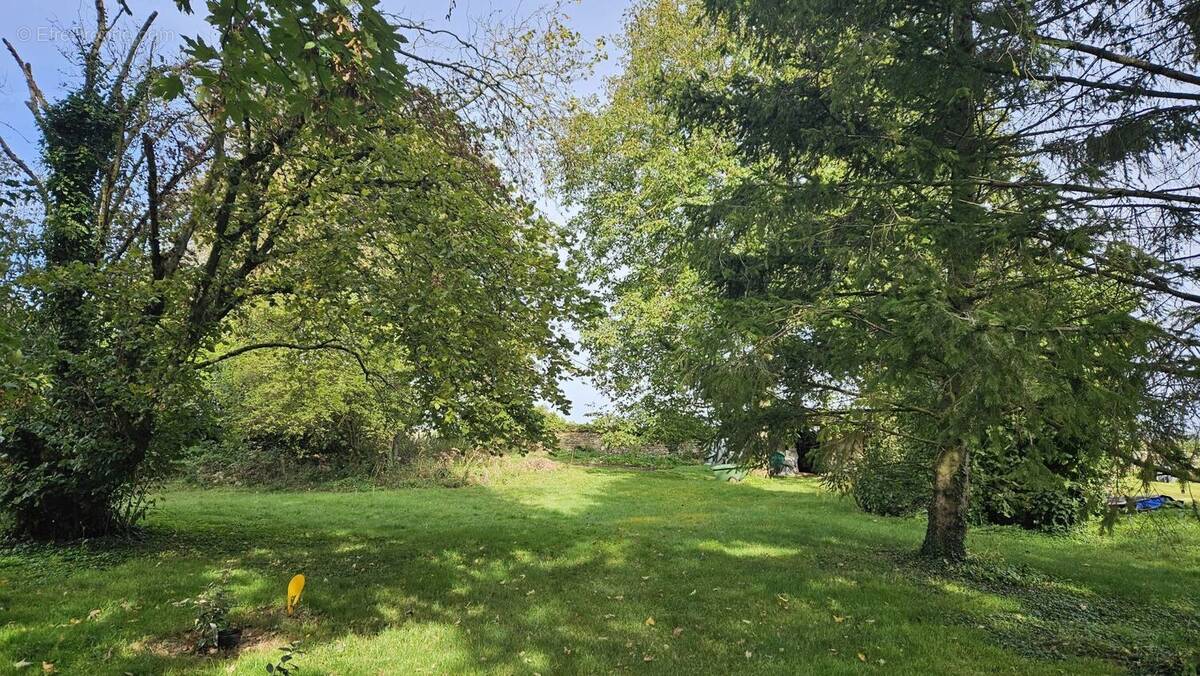 Terrain à CREGY-LES-MEAUX