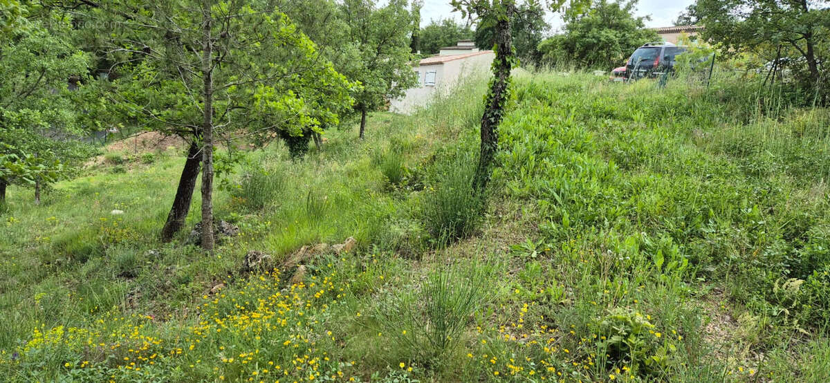 Terrain à SAINT-PAUL-EN-FORET