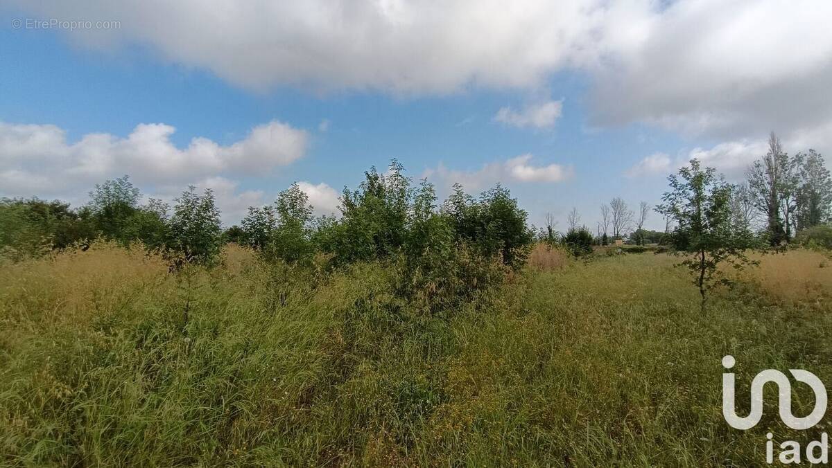 Photo 1 - Terrain à CLAIRA
