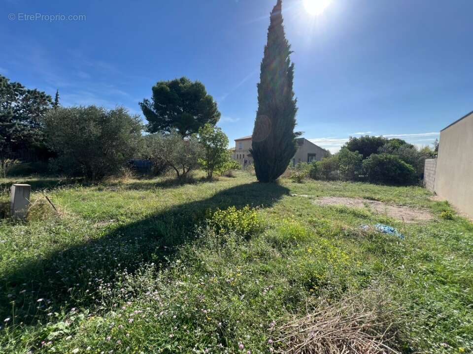 Terrain à MONTPEYROUX