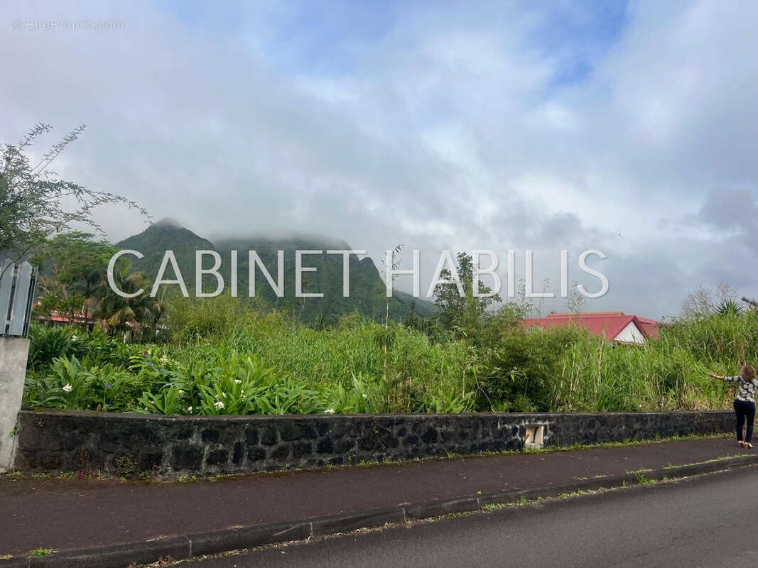 Terrain à LA PLAINE-DES-PALMISTES