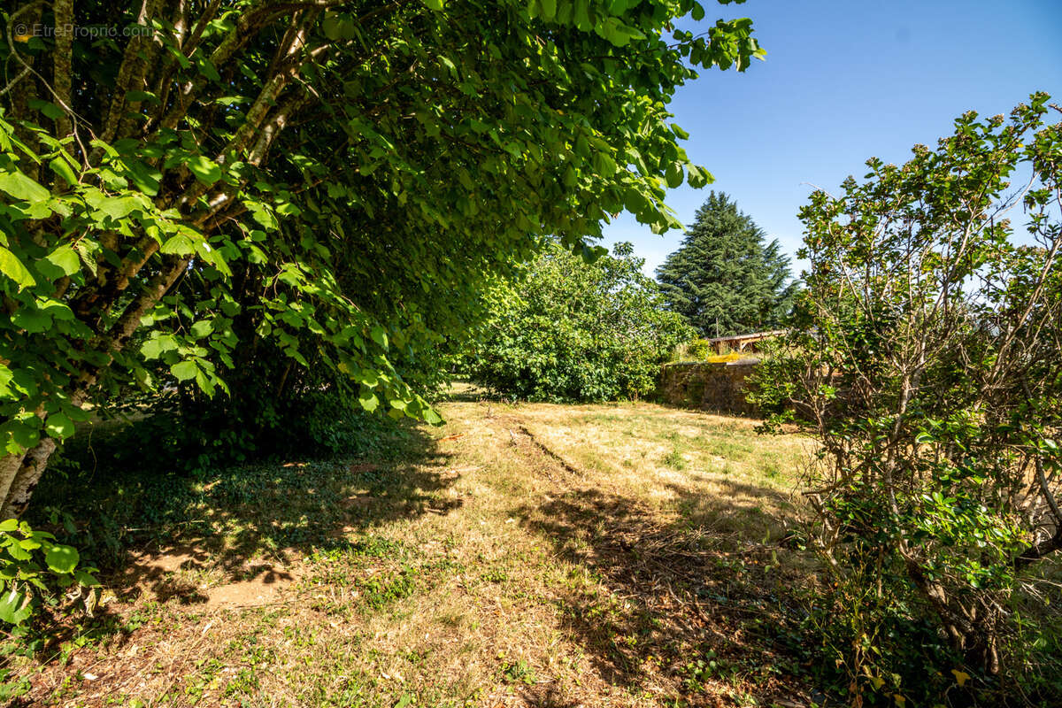 Terrain à CHANIERS