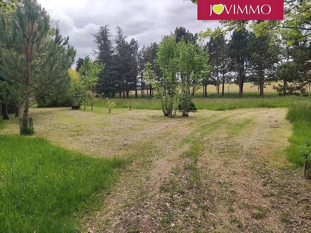 Terrain à MIGNALOUX-BEAUVOIR