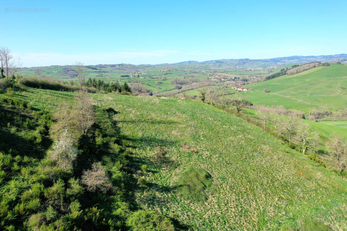 Terrain à AMPLEPUIS