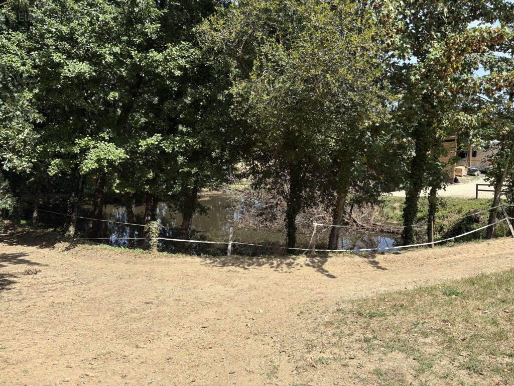 Saint-Sornin Lavolps, en bordure de l'hippodrome - photo 9
