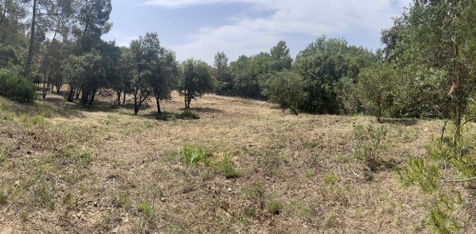 Terrain à TARADEAU