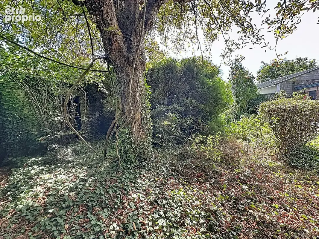 Terrain  à bâtir Tourcoing  Blanche Porte de près de 200 m² - photo 3