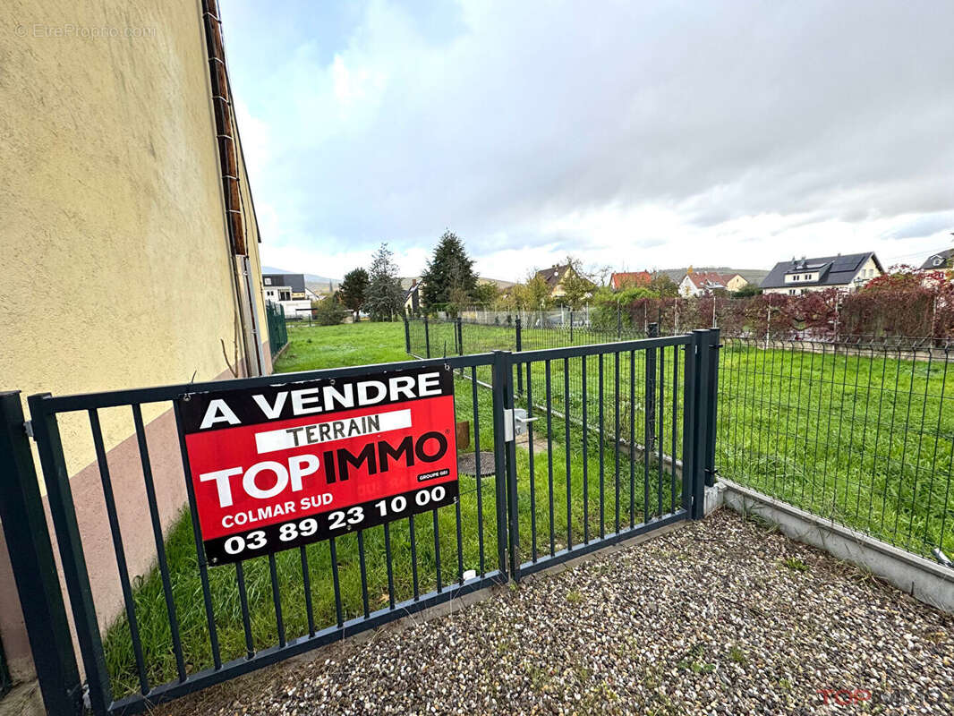 Terrain à TURCKHEIM