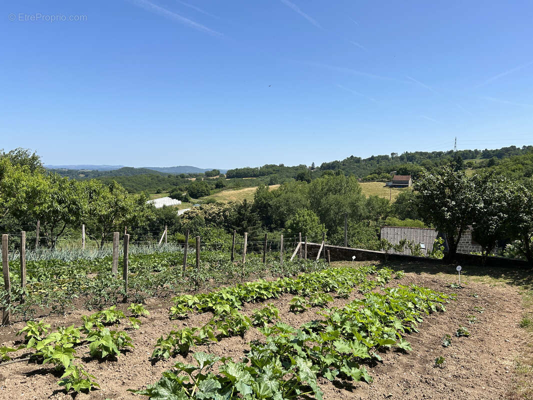 Maison à BRIGNAC-LA-PLAINE