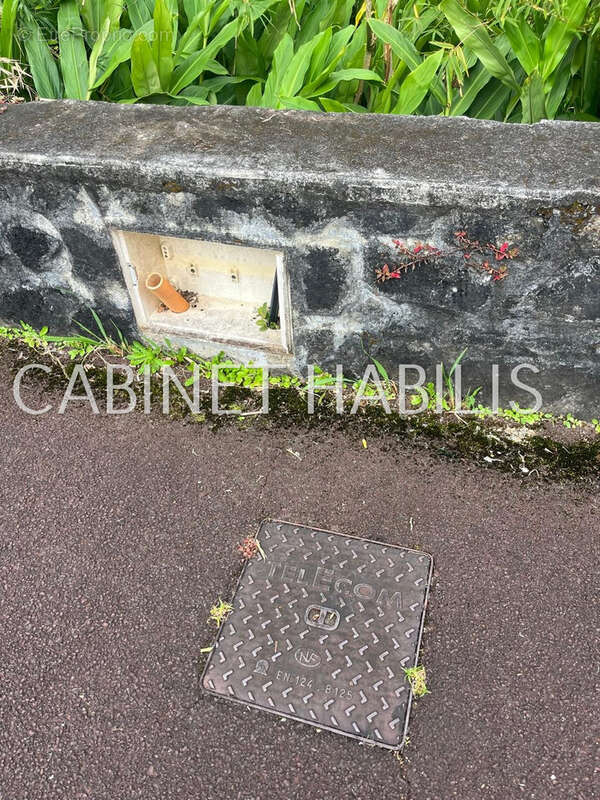 Terrain à LA PLAINE-DES-PALMISTES