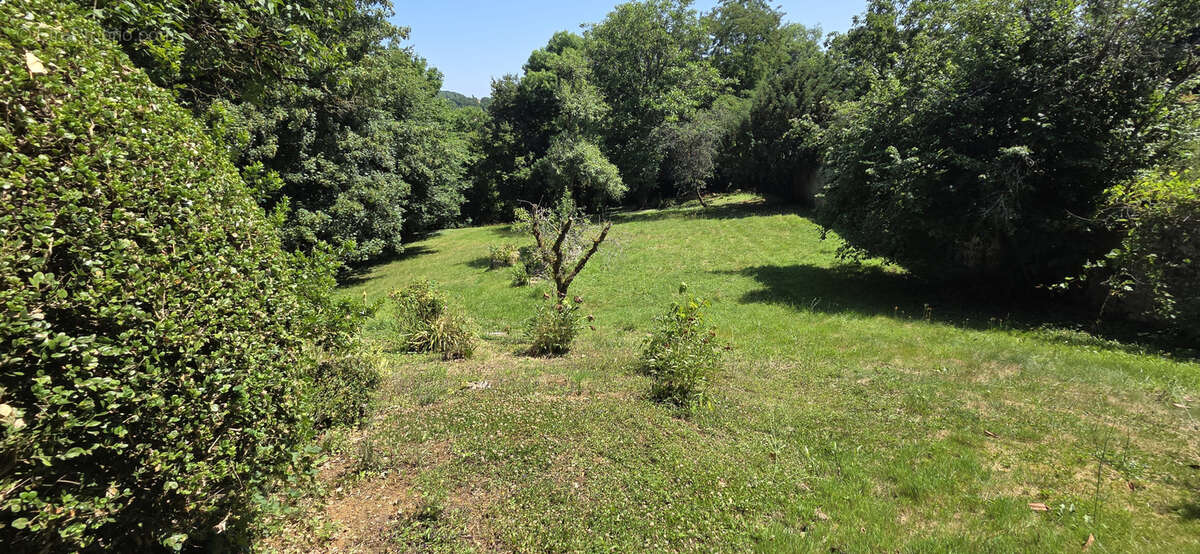 Elégante villa du 19ème sur 4 759 m2 de parc arboré clos de murs - photo 20